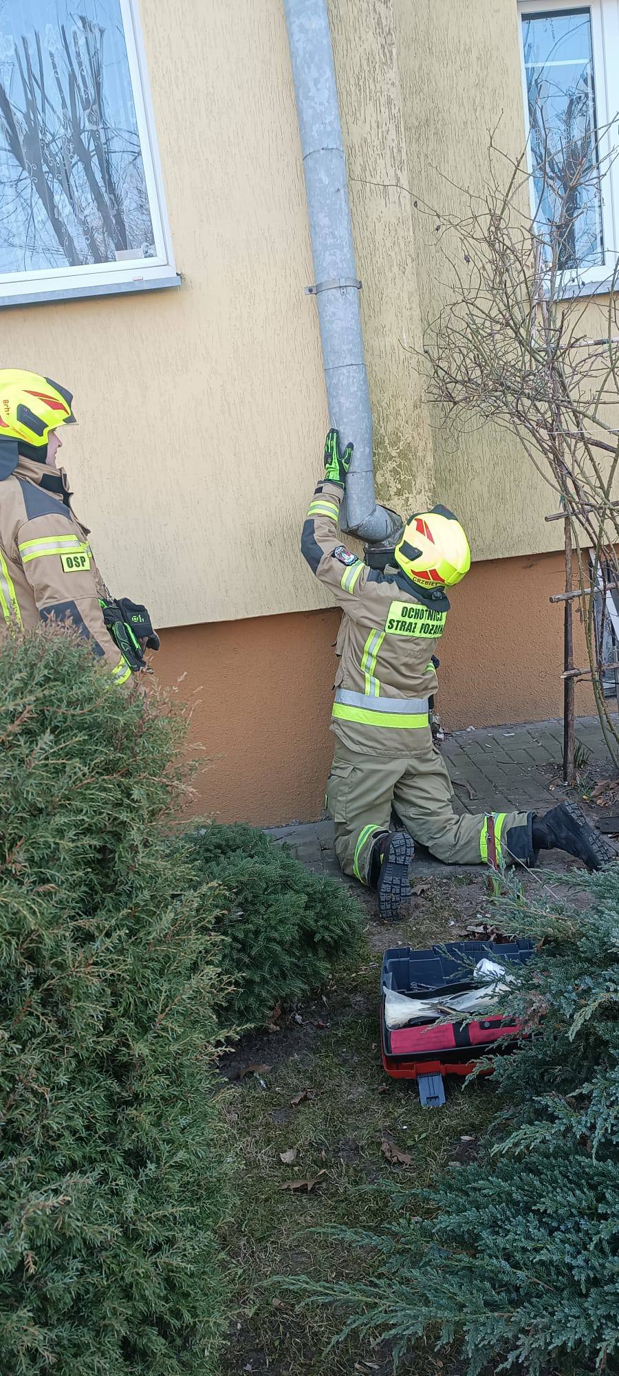 Strażak ostrożnie wyjmuje uwięzionego ptaka z rynny.