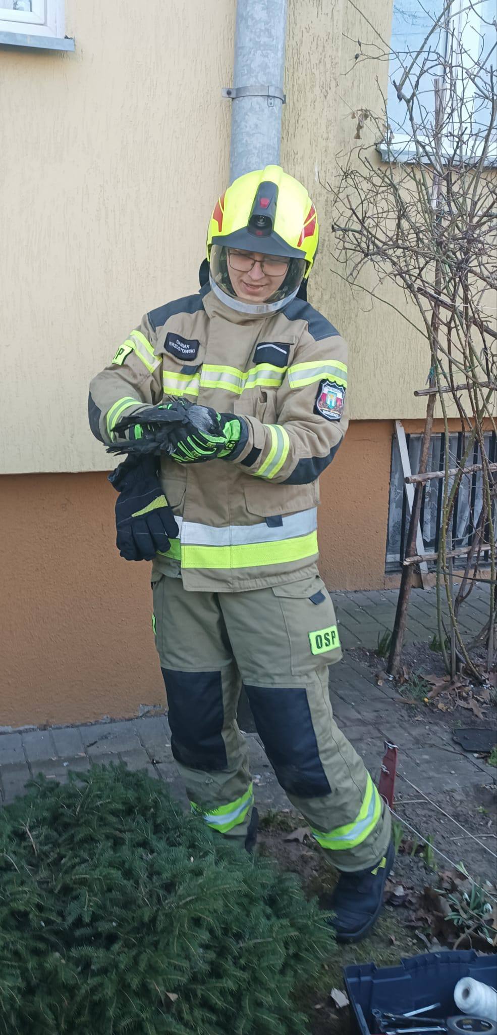 Mały bohater, wielka akcja!