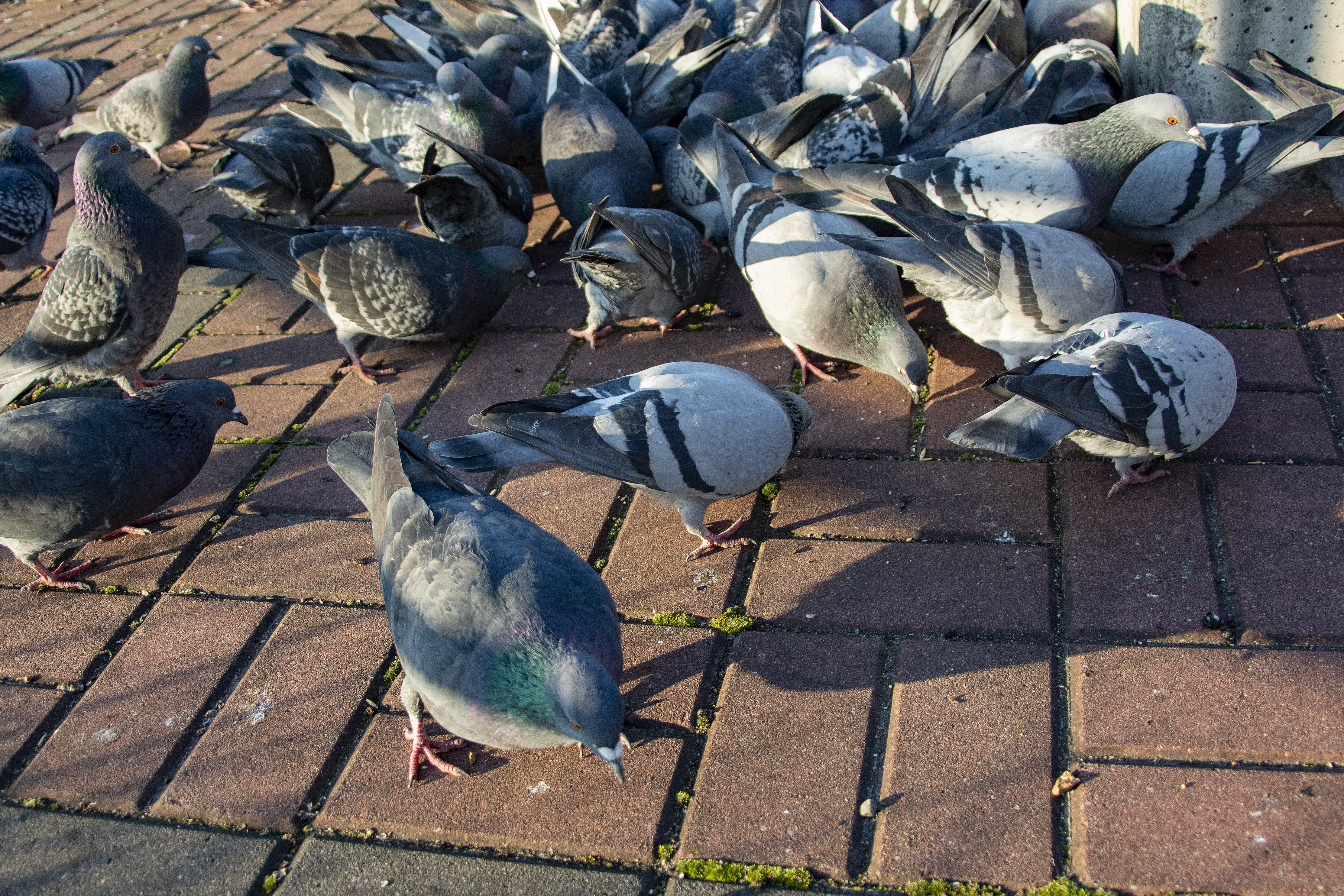 10. edycja Akcji Sznurek - Kraków, 23.08.2025 r.