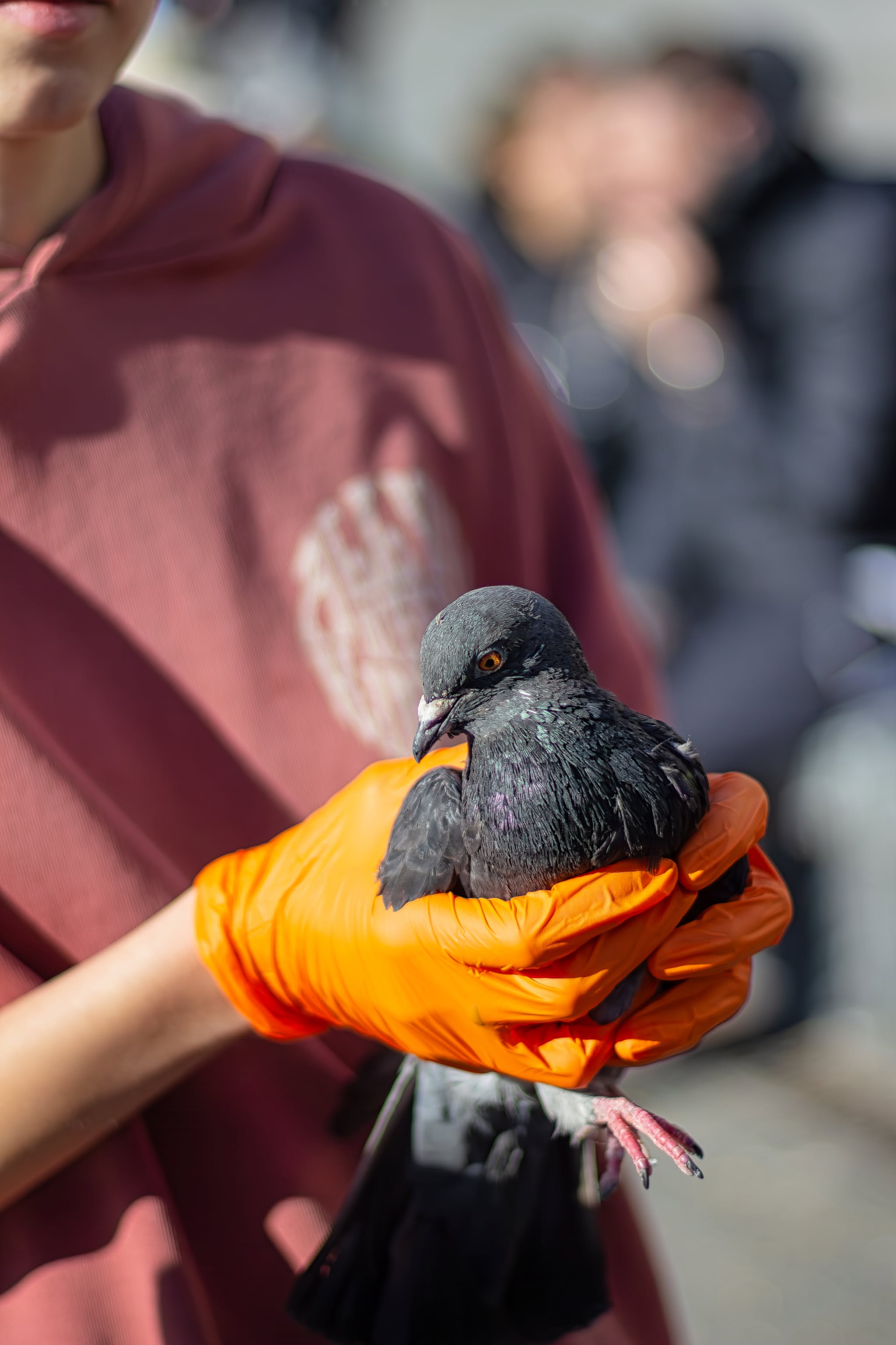 11. Edycja Akcji Sznurek - Kraków, 04.10.2025
