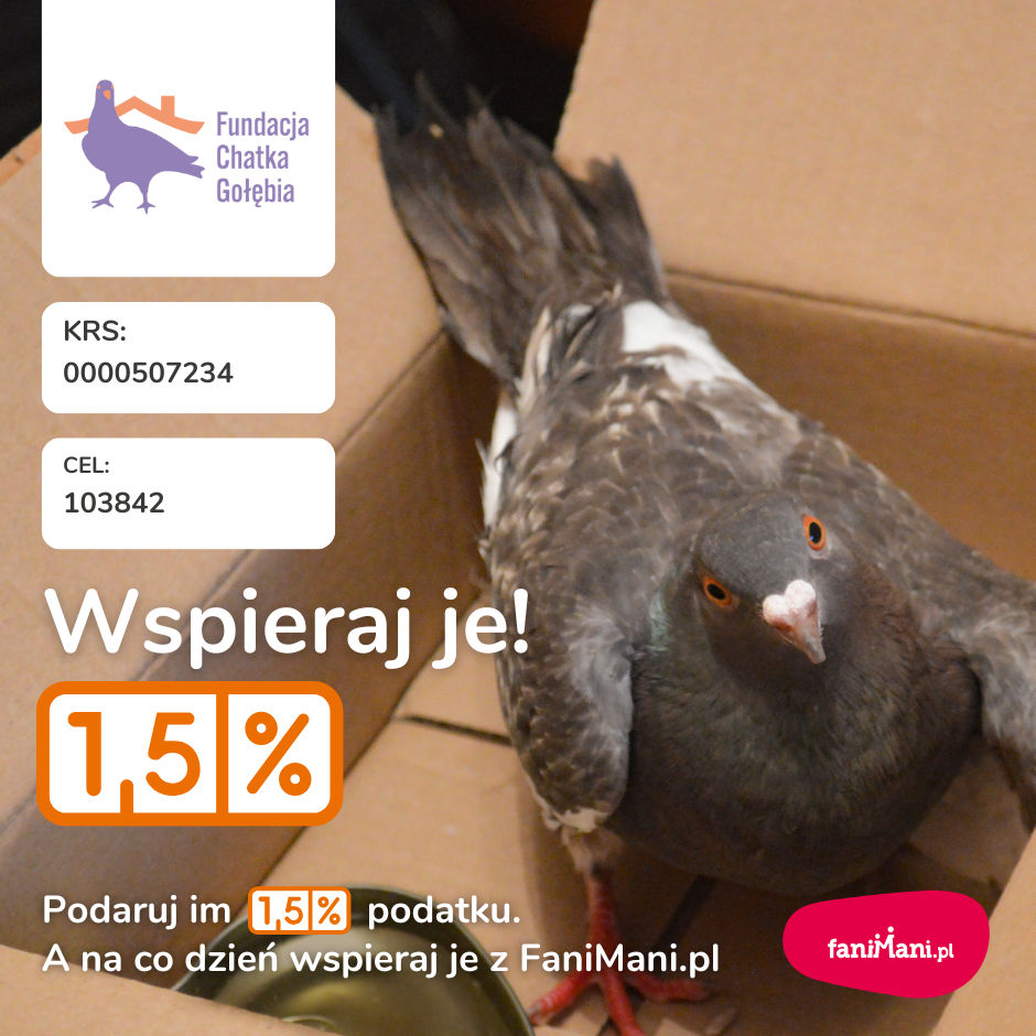 Inforgrafika w jaki sposób przekazać 1,5% podatku na Fundację Chatka Gołębia